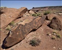 Petrified Forest National Wilderness Area Petroglyphs